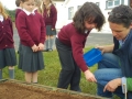 Planting the School Garden