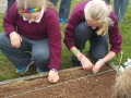 Planting the School Garden