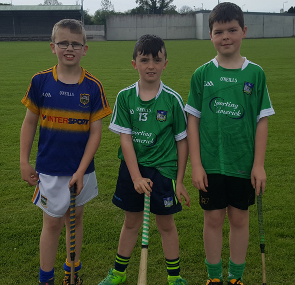 Boy's Hurling Skills 2018