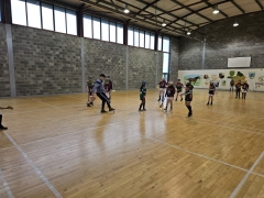 indoor-hurling-2024-04