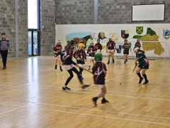 indoor-hurling-2024-05