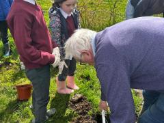 school-orchard-34