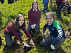 school-orchard-42