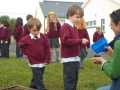 Planting the School Garden