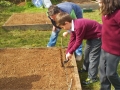 Planting the School Garden