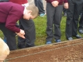 Planting the School Garden