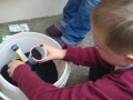 Planting Cress